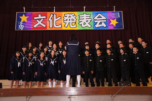 DSC07530.JPG