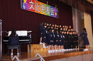 DSC07546.JPG