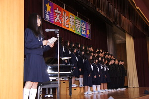 DSC07703.jpg