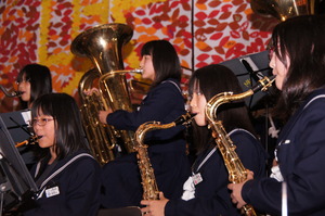 DSC07754.jpg