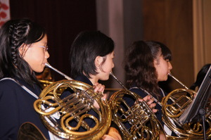 DSC07782.jpg