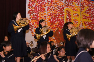 DSC07792.jpg