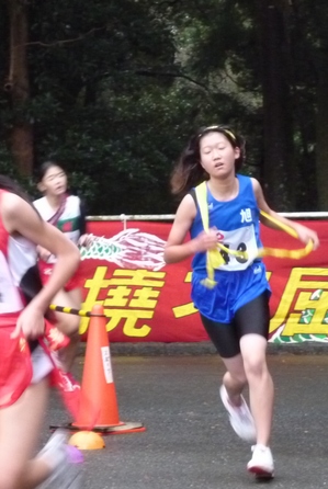 P1000212.jpg