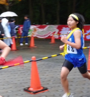P1000221.jpg