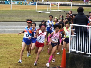 P1050442.jpg