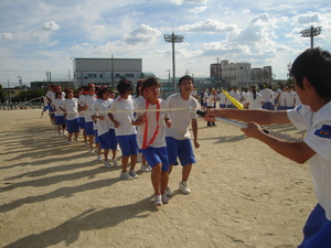 DSC0621811.jpg