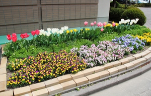 IMG_8120.jpg