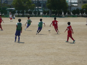 P 1040664.JPG