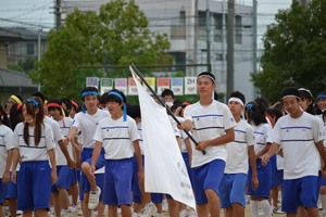 DSC_0817.JPG