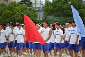 DSC_0818.JPG