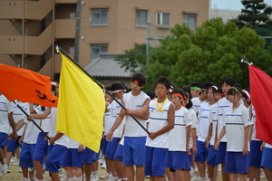 DSC_0819.JPG