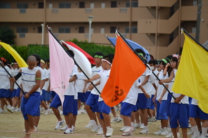 DSC_0820.JPG