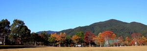 IMG_1158.JPG