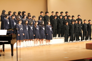 IMG_4461.JPG