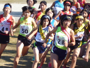 P1020642.JPG