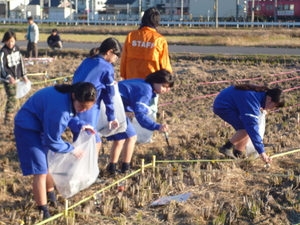 田植え２.JPG