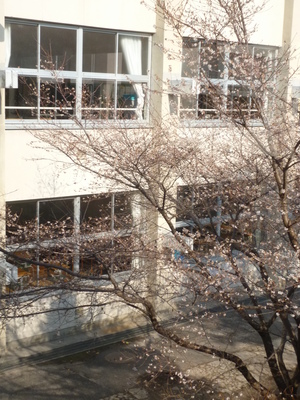 P1020538.JPG