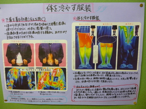 P1030091.JPG