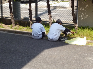 P1030200.JPG