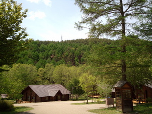 DSC_0295.jpg