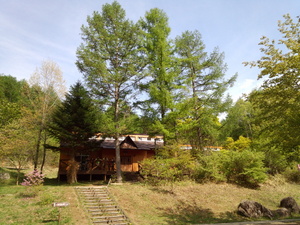 DSC_0315.jpg