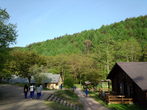 DSC_0337.jpg