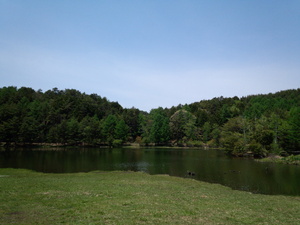DSC_0364.jpg
