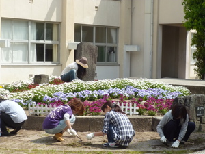 P 1030484.JPG