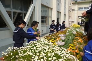 P1040123.JPG