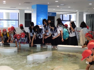 海遊館1.JPG