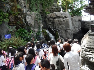 海遊館3.JPG