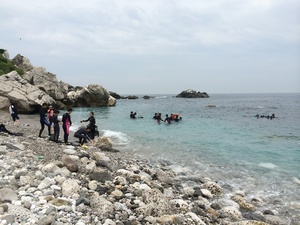 IMG_7932.jpg