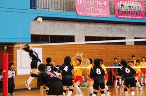 IMG_5242.JPG