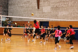 IMG_5264.JPG