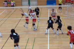 P　1050044.JPG