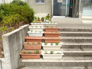 P1050227.JPG