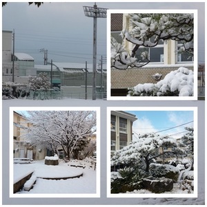 雪の日３（ＨＰ用）.jpg