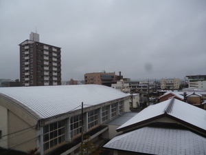 P1060721.JPG