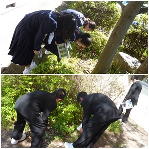 身近な生物（ＨＰ用）.jpg