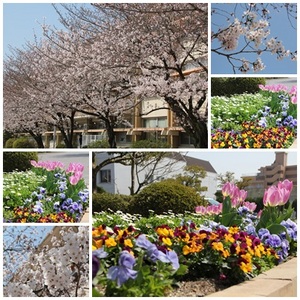 ４月１日（ＨＰ用）.jpg