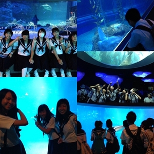 ３Ｂ海遊館.jpg