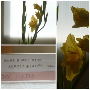 昇降口花７／２（ＨＰ用）.jpg