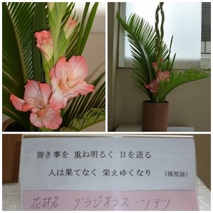 東昇降口前花７月（ＨＰ用）.jpg