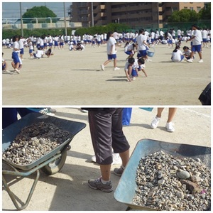 石拾い（ＨＰ用）.jpg