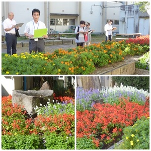 ＦＢＣ審査（ＨＰ用）.jpg
