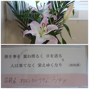 東昇降口前（１１／４）.jpg