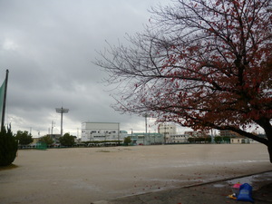 P1100461.JPG