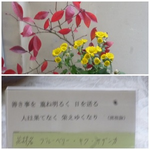 東昇降口前お花（１２／１６）.jpg
