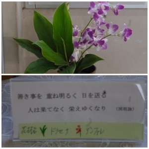 東昇降口前（１／１３）ＨＰ用.jpg