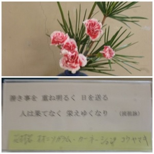 東昇降口花（２／１５）.jpg